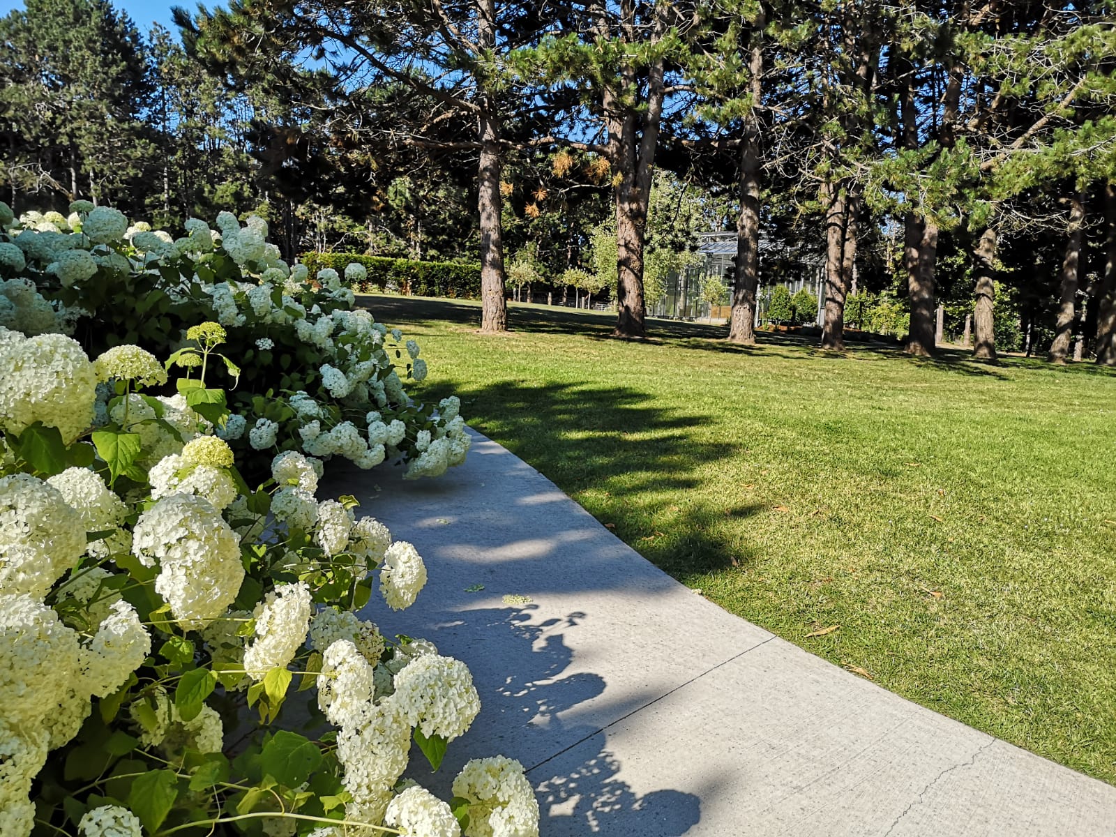 Allée de jardin
